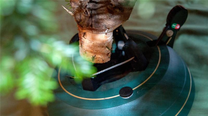 Weihnachtsbaum kaufen, lagern, dekorieren: Diese Tipps geben Profis Baumständer mit Seilzugtechnik erleichtern das Aufstellen des Weihnachtsbaumes.