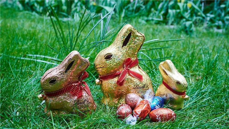 Keine „Osterhasen“ mehr beim Discounter? Debatte um „Sitzhase“ entbrannt Der „Goldhase“ ist nicht selten in Osternestern zu entdecken. (Symbolbild)